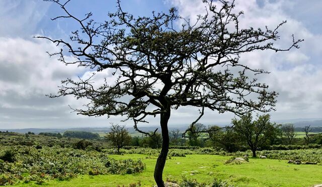 Letters From The Moors – A Sister’s Journey #8